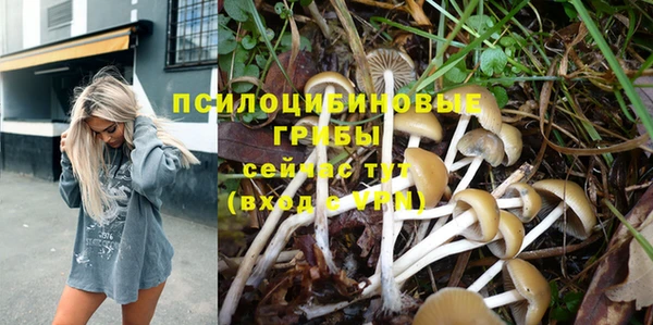 винт Белоозёрский