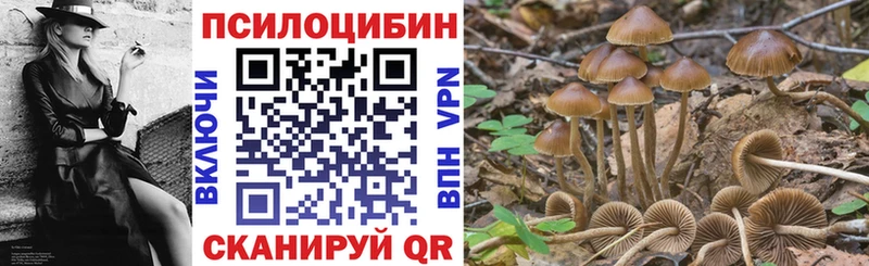 дарнет шоп  Горняк  omg рабочий сайт  Галлюциногенные грибы прущие грибы 